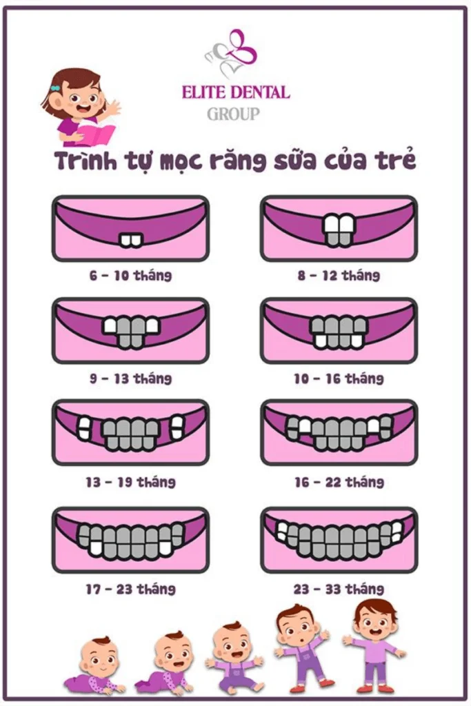 giai-doan-moc-rang-sua-o-tre